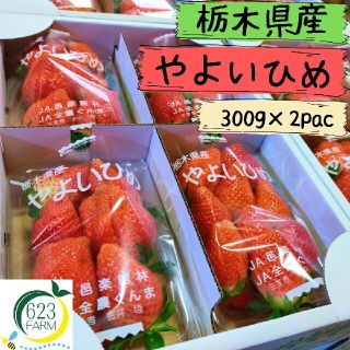 【送料無料/限定品】栃木県産やよいひめ　300g×2パック(フルーツ)