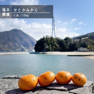 愛媛県産　せとかみかん　訳アリC品　ご家庭用　10kg　農家直送　送料無料(フルーツ)