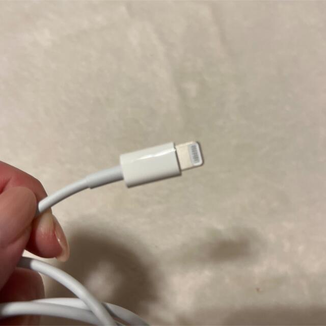 Apple(アップル)の正規品　apple 純正 ライトニングケーブル　USB-C スマホ/家電/カメラのスマートフォン/携帯電話(バッテリー/充電器)の商品写真