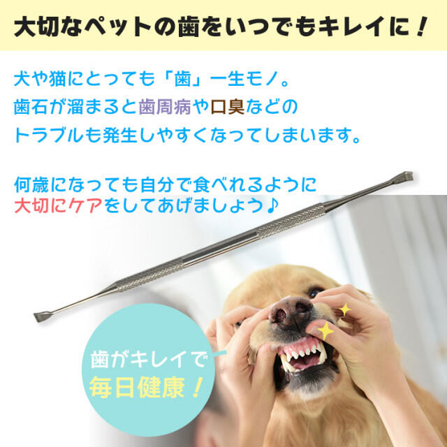スケーラー 犬猫用 歯石取り 口臭 口腔ケア 歯石除去 歯磨き ハミガキ 犬 猫 その他のペット用品(犬)の商品写真