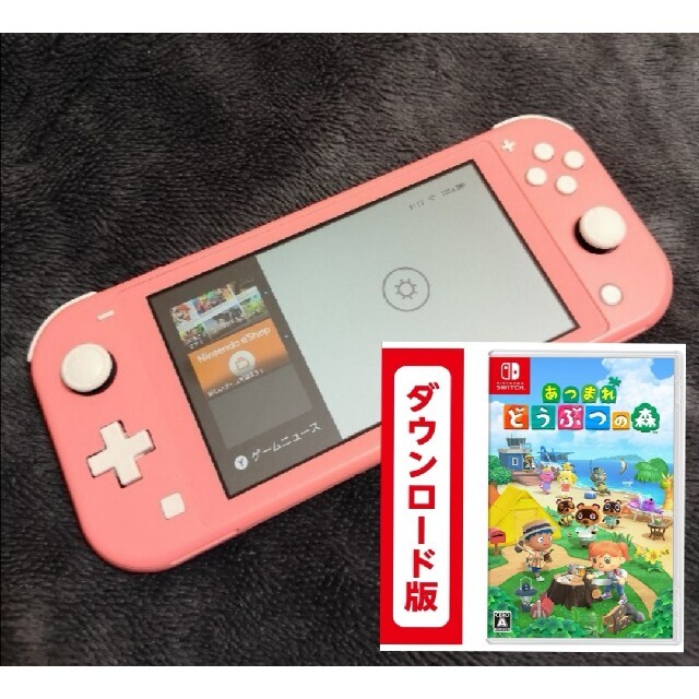 Nintendo Switch - スイッチ ライト (10-Z)凖良品 DLソフト付き【1週間 ...