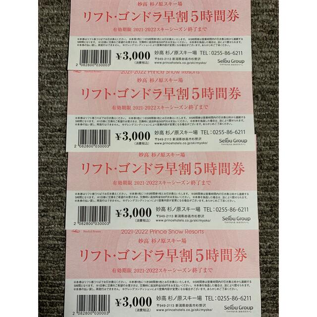 妙高杉ノ原スキー場 リフト券 5時間券 妙高杉ノ原スキー場 リフト券 5時間券