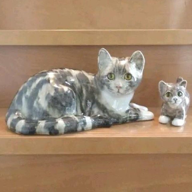 大きなウィンスタンレイキャット(ケンジントン)サイズ「5」の成猫