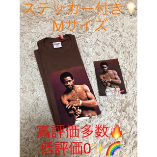 シュプリーム(Supreme)のSupreme Al Green Tee "Brown" Mサイズ(Tシャツ/カットソー(半袖/袖なし))