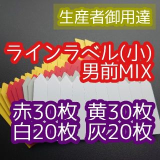 ラインラベル(小) 赤 黄 灰 白 園芸ラベル アガベ パキポディウム 多肉植物(その他)