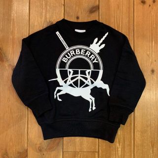 バーバリー(BURBERRY)の極美品　バーバリー　トレーナー　スウェット　Burberry グッチ(Tシャツ/カットソー)