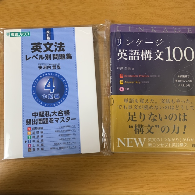 超安い 英文法 はじめからていねいに 安河内哲也 東進ビジネススクール