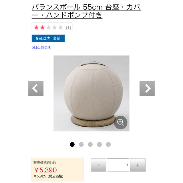 カバー付き　バランスボール　土台付き スポーツ/アウトドアのトレーニング/エクササイズ(トレーニング用品)の商品写真