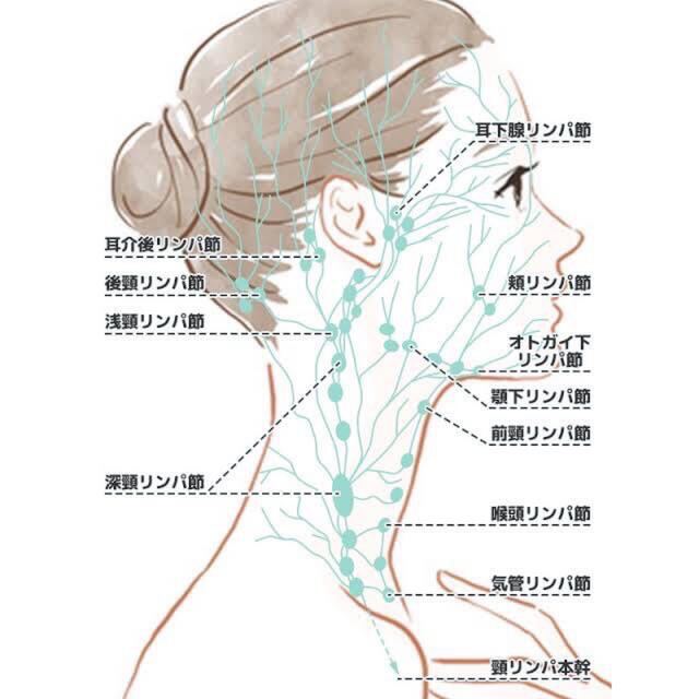 インフルエンサーに人気！！シリカの小顔クリーム⭐︎オールインワン美容液 コスメ/美容のスキンケア/基礎化粧品(オールインワン化粧品)の商品写真