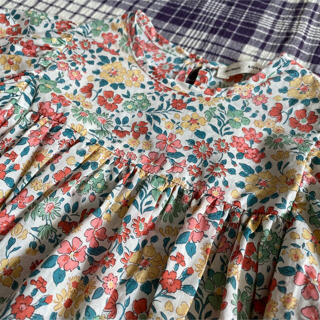 Soor Ploom Clementine Dress Floral 2Y | pampalodgepatagonia.com