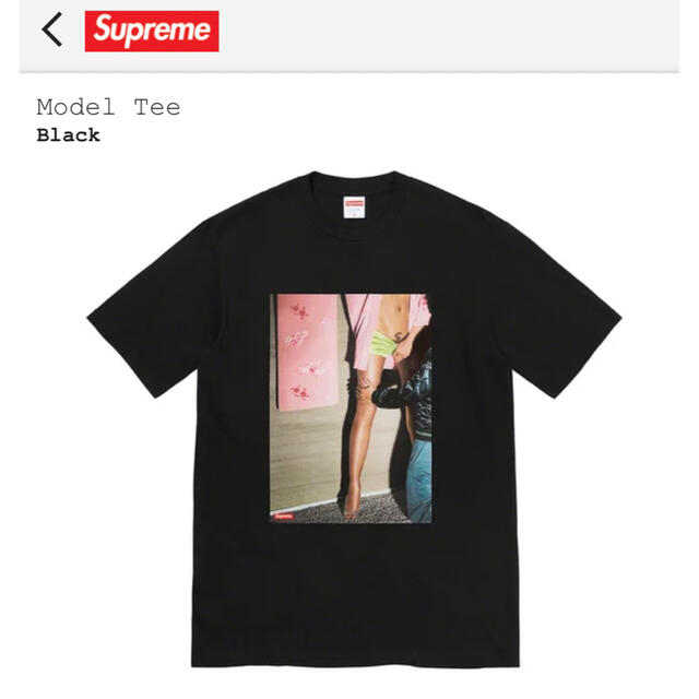 Supreme MODEL TEE  (Ｌサイズ)