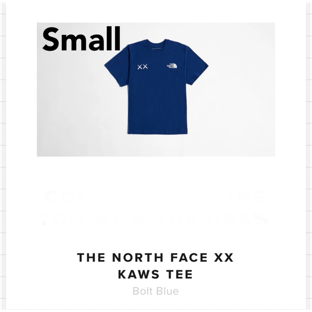 Kaws X The North Face Tee Small