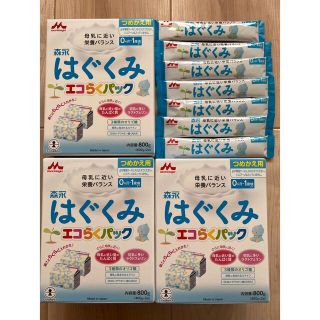 モリナガニュウギョウ(森永乳業)の森永 はぐくみ エコらくパック詰め替え用 800g×3個　スティック7本(その他)