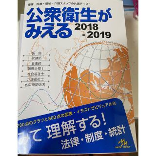 公衆衛生がみえる　2018 2019(健康/医学)