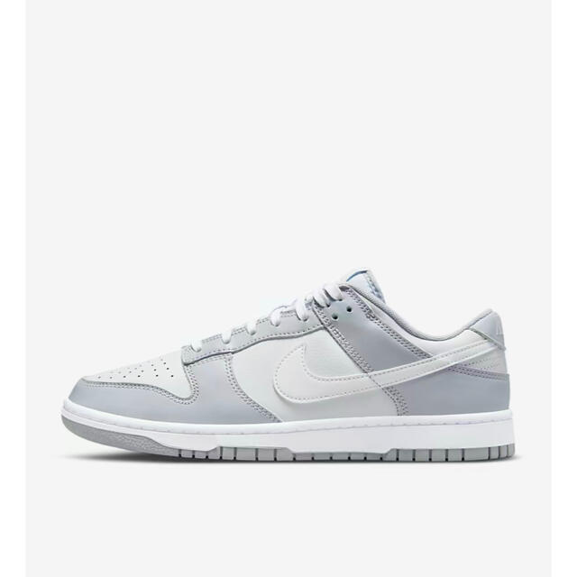 NIKE DUNK LOW RETRO PLATINUM WOLF GREY