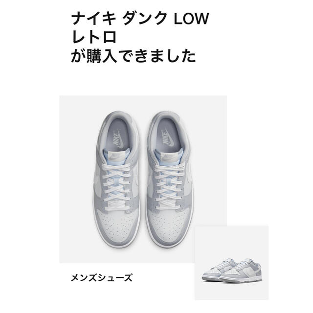 NIKE DUNK LOW PLATINUM WOLF GREY  28cm