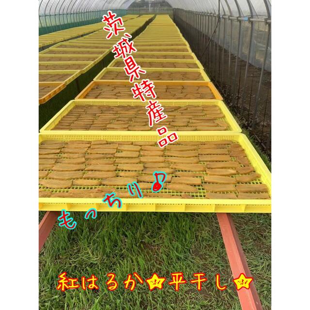 【品番H3K】☆紅はるか A級　平干し３kg★茨城県ひたちなか特産干し芋★