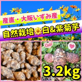 ❤️スーパーフード【菊芋（紫・白）セット】3.2kg〜新型コロナ対策にも❣️(野菜)