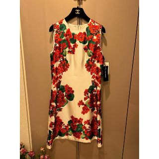 ドルチェアンドガッバーナ(DOLCE&GABBANA)のドルチェガッバーナドレス(ミニワンピース)