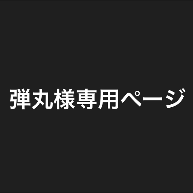 GENTOS(ジェントス)の弾丸様専用ページ インテリア/住まい/日用品のライト/照明/LED(その他)の商品写真