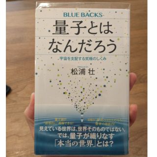 コウダンシャ(講談社)の量子とはなんだろう　宇宙を支配する究極のしくみ(科学/技術)