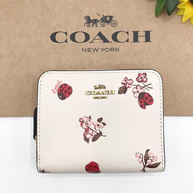 COACH ★大人気★ ビルフォールド ウォレット レディバグ フローラル 新品