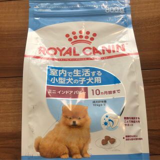 ロイヤルカナン(ROYAL CANIN)のロイヤルカナン　ミニインドアパピー(犬)