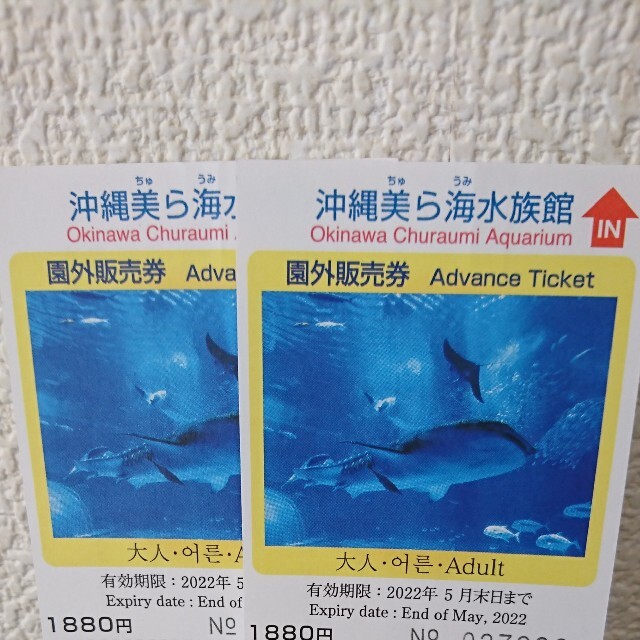 美ら海水族館チケット 大人2枚 チケットの施設利用券(水族館)の商品写真