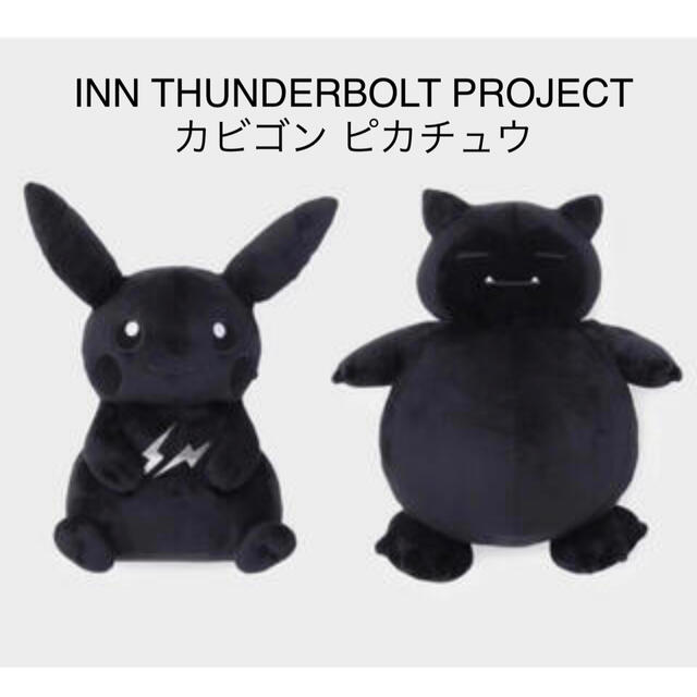 INN THUNDERBOLT PROJECT ピカチュウ　カビゴン