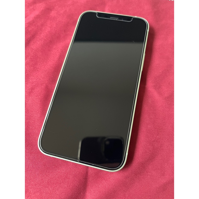 【美品】カナダ版 iPhone 12 mini グリーン 256 GB