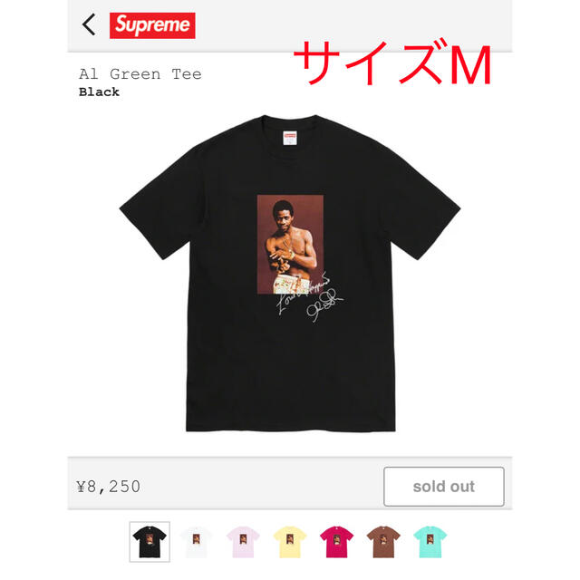 Supreme 2022SS Al Green Tee Black　サイズM購入店シュプリームオンライン