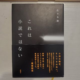 これは小説ではない(文学/小説)