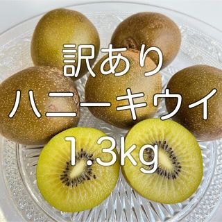 訳あり ハニーキウイ 1.3kg前後(フルーツ)