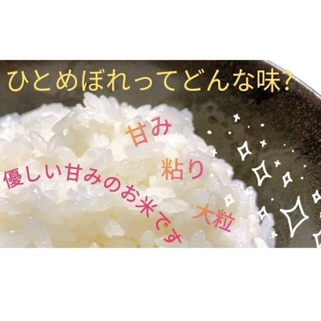 forester936様専用お米【ひとめぼれ 10kg】R3年産/5kg×2 食品/飲料/酒の食品(米/穀物)の商品写真