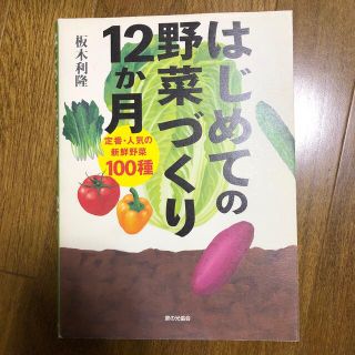 はじめての野菜づくり１２か月(趣味/スポーツ/実用)