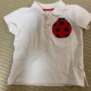 【an様専用】インセクトコレクション　てんとう虫ポロシャツM(Tシャツ/カットソー)