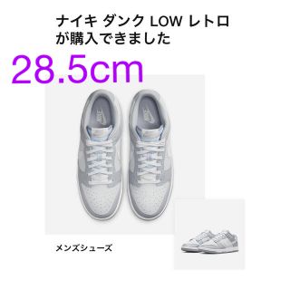 ナイキ(NIKE)のnike dunk low  (スニーカー)