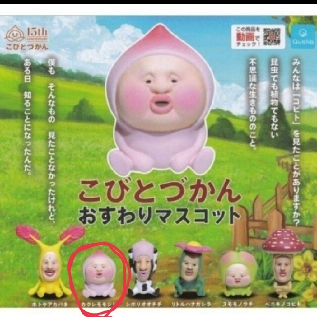 こびとづかん ガチャ エンタメ/ホビーのおもちゃ/ぬいぐるみ(キャラクターグッズ)の商品写真