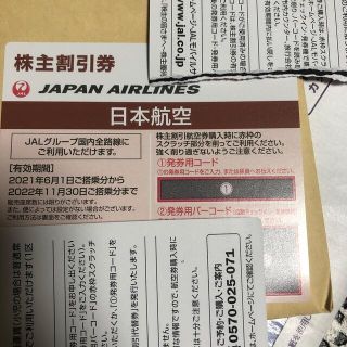 ジャル(ニホンコウクウ)(JAL(日本航空))の日本航空（JAL）株主割引券(その他)