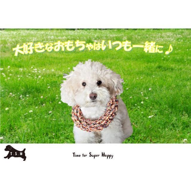 まい様専用】ペット用ロープ製カラフルフリスビー 犬用ストレス解消