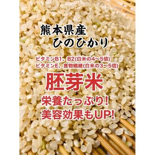 熊本県産★ヒノヒカリ胚芽米１．５キロ★栄誉価抜群★健康食(米/穀物)