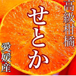 みかん　せとか　2s〜M 12〜15個　愛媛産　家庭用(フルーツ)