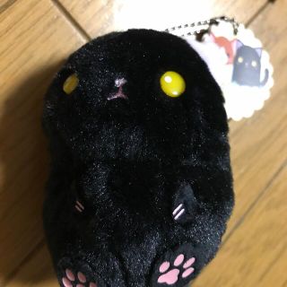 ぽてコロわんにゃん　マスコット　ぬいぐるみ(キャラクターグッズ)