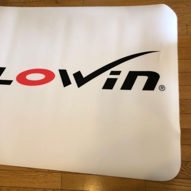 FLOWIN Sport サッカー長友選手愛用 体幹トレーニング フローウィン