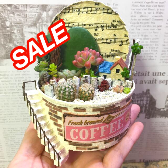 ♡サマーSALE⭐️速達付き⭐️多肉植物そのまま飾れるリメイク缶てんとう虫さん♡