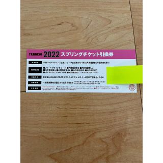 千葉ロッテマリーンズ　スプリングチケット1枚(野球)