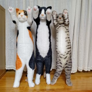 たっちいZoo にゃんこ 3匹セットの通販 by fattywan shop|ラクマ