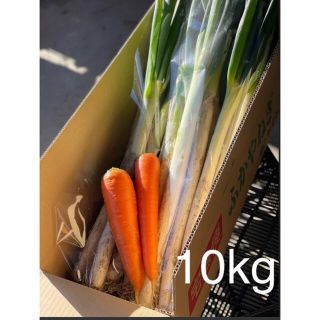 深谷ネギ　10kg おまけ付き(野菜)