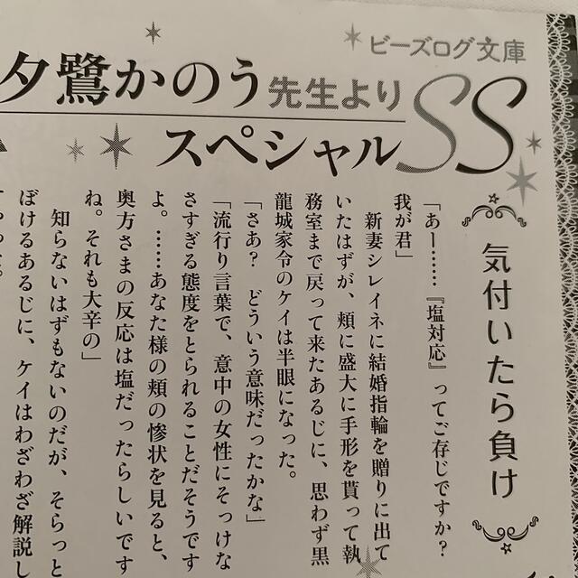 (仮)花嫁のやんごとなき事情 離婚できたら一攫千金 特典 エンタメ/ホビーのエンタメ その他(その他)の商品写真