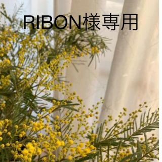 ♪RIBONさま専用♪ 70 ミモザ  1箱(その他)